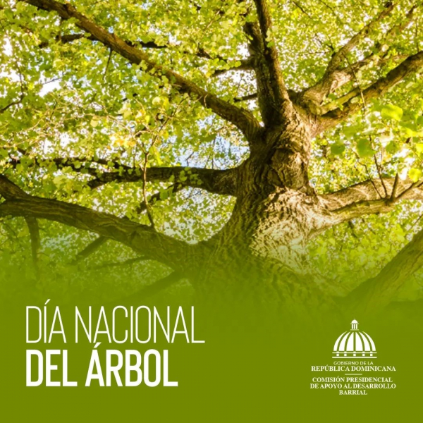 Dia Nacional del Arbol