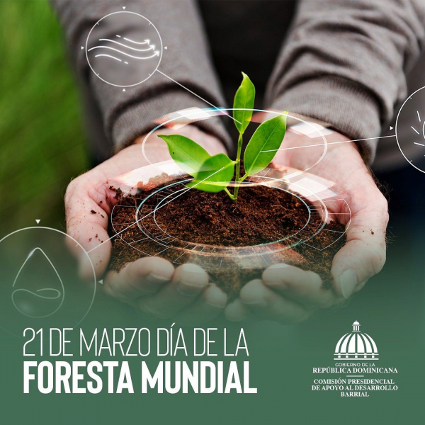 21 de marzo Día de la Foresta Mundial